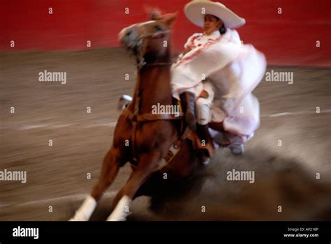 Charreada Mexico Stock Photo Alamy