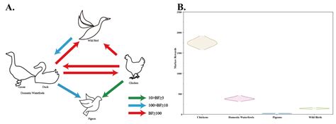 Pathogens Free Full Text Insights Into Genomic Epidemiology