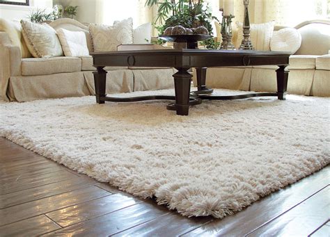 Living Room Carpet Designs Decorating Ideas Design Trends