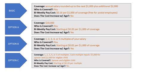 Maximizing Federal Employee Group Life Insurance Fegli Benefits