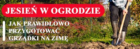 Jak Prawid Owo Przygotowa Grz Dki Na Zim