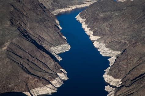 60 To 80 Tons Of Dead Fish Removed From Mexico Reservoir After Tequila