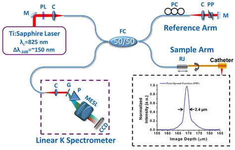 Optical Coherence Tomography Jhu Biophotonics Imaging Technology Lab