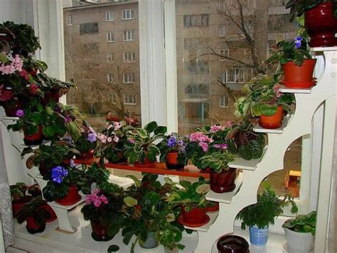 Цветы на подоконнике: подставка для цветов на подоконник своими руками
