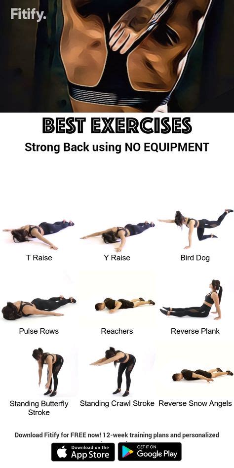 135 Best back routine images | Back exercises, Gym workouts, Workout