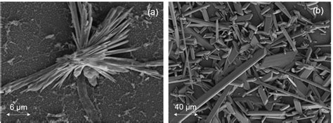 Membranes Free Full Text Calcium Sulfate And Calcium Carbonate