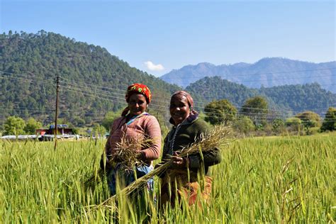 Asian Farmers Response to COVID-19 – Asian Farmers Association for