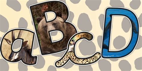 Animals Themed A4 Photo Display Lettering (teacher made)