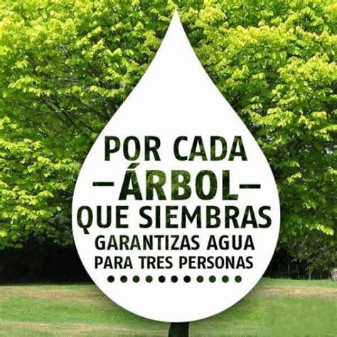 4 Carteles Sobre El Cuidado Del Ambiente Para Pensar