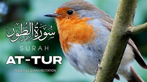 Calm Your Soul Through Stunning Recitation Surah At Tur The Mount