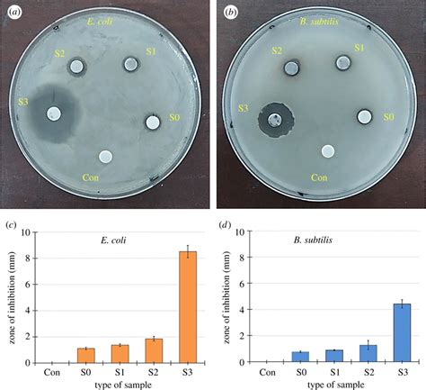 Representative Images Of A E Coli And B B Subtilis Agar Plates