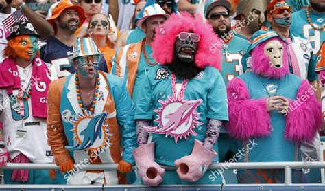 Miami Dolphins Fans Yell Stands During Editorial Stock Photo - Stock ...