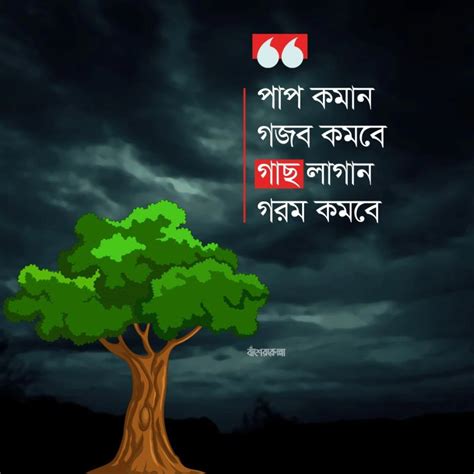 khurshed alam  linkedin