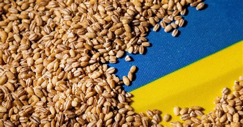 Criza Cerealelor Ucrainene Ministrul Agriculturii De La Kiev Face