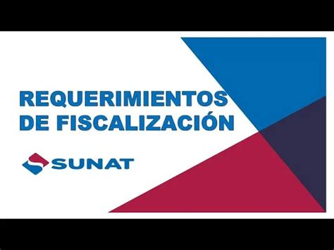 Fiscalizaci N Por Requerimientos Tutorial Completa Auditor A Group