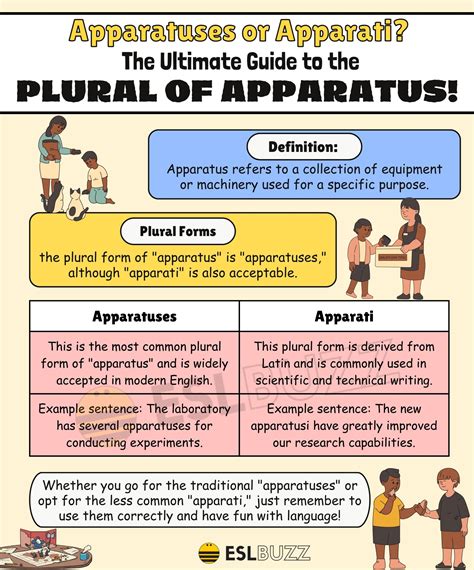 Plural Of Apparatus The Ultimate Guide To Understanding Plural Nouns