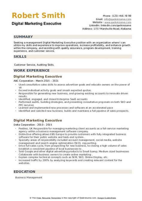 Digital Marketing Executive Resume Samples Templates For