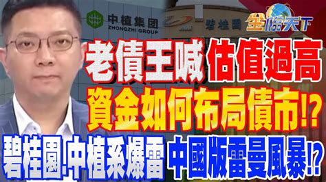 【精華】老債王喊 估值過高 資金如何布局債市！？碧桂園 中植系相繼爆雷！中國版 雷曼風暴 來了！？ 李其展 Tvbsmoney 20230814 Youtube