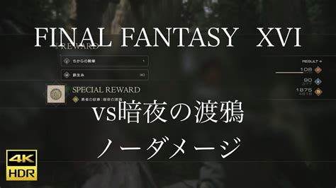 4K HDR FINAL FANTASY XVIvs暗夜の渡鴉 ノーダメージ YouTube