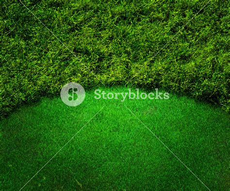 Green Golf Background Grass Texture Royalty-Free Stock Image - Storyblocks