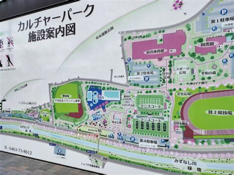 【秦野市】『カルチャーパーク』向かいの水無川沿いに、きれいなアジサイが咲きはじめました！ | 号外NET 秦野市・伊勢原市