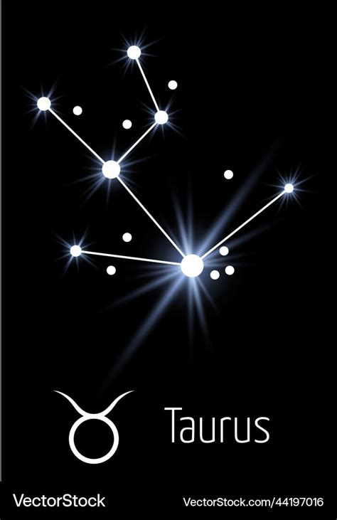 Taurus Horoscope Sign Astrology Card Template Vector Image