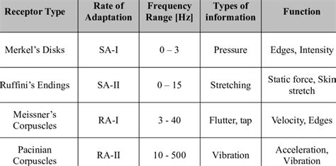 Classification of mechanoreceptors | Download Scientific Diagram