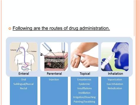 Routes Of Drug Administration 4