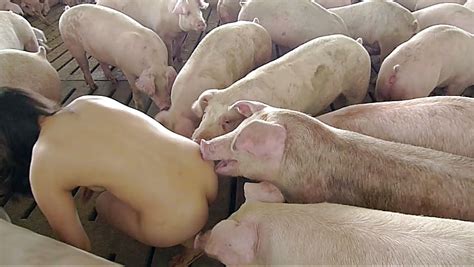 Bauer Sucht Sau Porn Pictures XXX Photos Sex Images 1660718 PICTOA