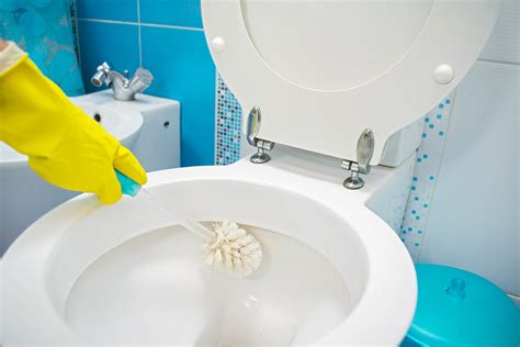 What Causes Mold In Toilet Bowl | Storables