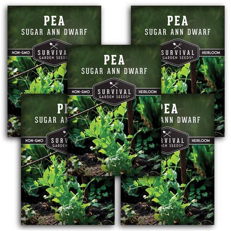 5 packs Sugar Ann Dwarf Pea Seed for Planting - Sweet Snap Peas - Non