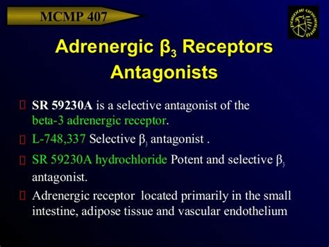 Adrenergic antagonists alpha and beta blockers