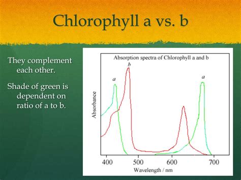 Ppt Photosynthesis Powerpoint Presentation Free Download Id2520761