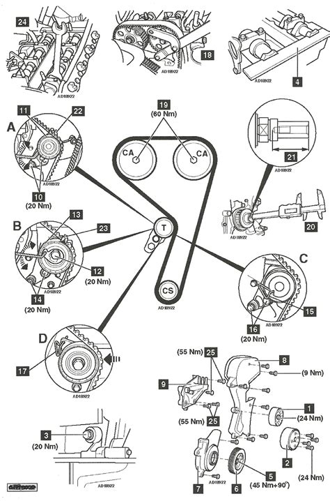 Diagrama Correa Ford Fusion