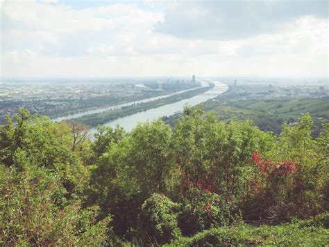 Vom Kahlenberg Zum Leopoldsberg In Wien Wandern Freets