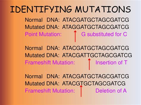 From DNA to Proteins. - ppt download 