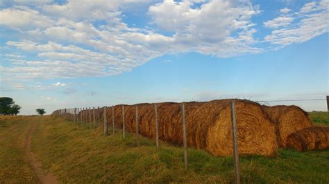 La actividad inmobiliaria en el agro subió casi 90 en un mes