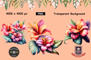 Watercolor Tropical Flowers Cliparts Graphic By Hassas Arts Creative