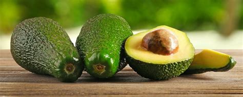 Aguacate o Persea americana origen beneficios y propiedades México