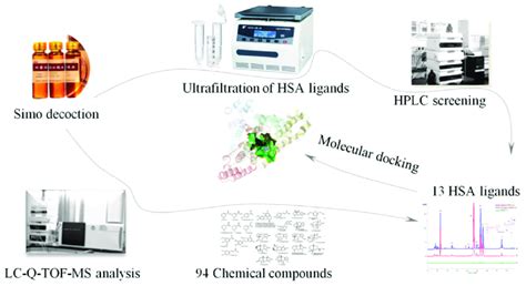 Strategy Based On Liquid Chromatography Quadrupole Time Of Flight Mass