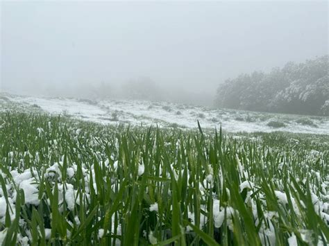 Torna La Neve SullAppennino Modenese E A Piacenza Caduti 25 Cm Al