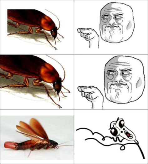 Roach Funny Quotes. QuotesGram