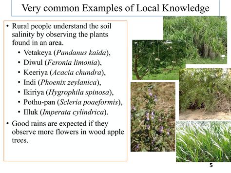 Indigenous Knowledge Systems 5 Ppt