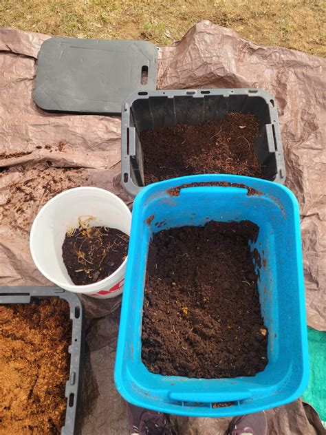 Harvesting My Worm Compost Bin : r/gardening