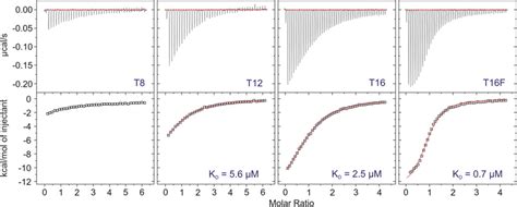 ITC analysis of DNA binding affinity. Isothermal titration calorimetry ... 