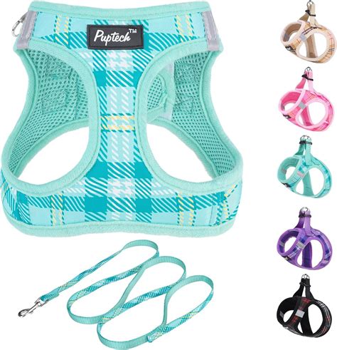 Amazon.com : PUPTECK Dog Harness and Leash Set for Small Medium Dogs No ...