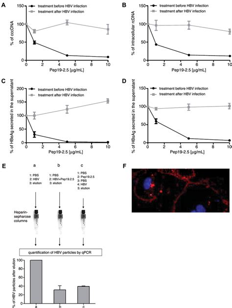 Pep Inhibits Hepatitis B Virus Hbv Entry Into Hepatocytes Ad