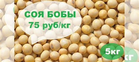Соя бобы купить в Рязани с доставкой | Хобби и отдых | Авито