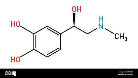 Estructura química de Adrenalina o epinefrina C9H13NO3 Recursos