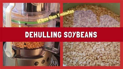 Dehulling Soybeans Easy Method And Fast Less Than Minute Youtube